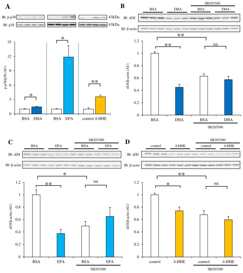 https://cdn.ncbi.nlm.nih.gov/pmc/blobs/17d7/5537774/57a08a5265e2/nutrients-09-00654-g006.jpg