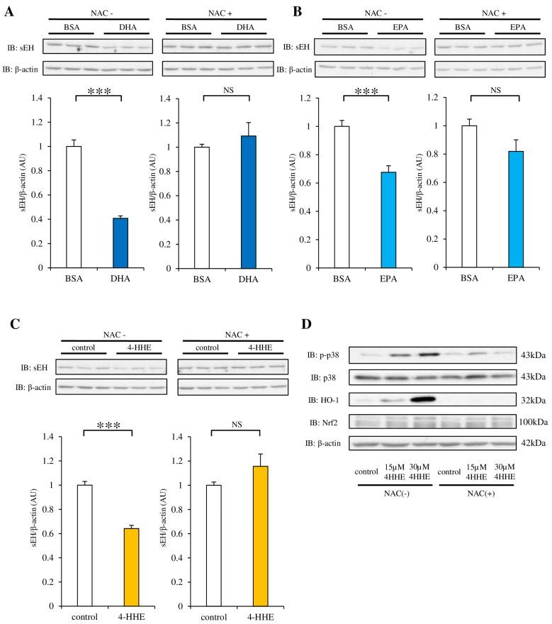 https://cdn.ncbi.nlm.nih.gov/pmc/blobs/17d7/5537774/f90badc45997/nutrients-09-00654-g004.jpg