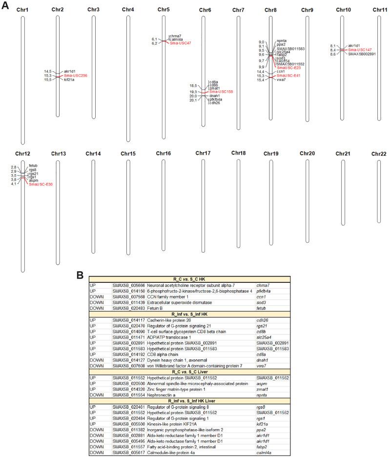 https://cdn.ncbi.nlm.nih.gov/pmc/blobs/17d8/11659141/153e416ba109/fimmu-15-1522666-g011.jpg
