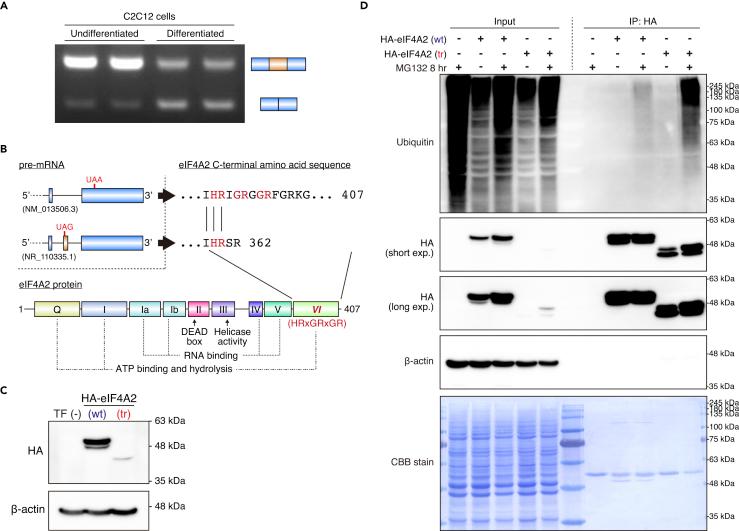 https://cdn.ncbi.nlm.nih.gov/pmc/blobs/17da/6197527/a8b80b1c23dc/gr5.jpg