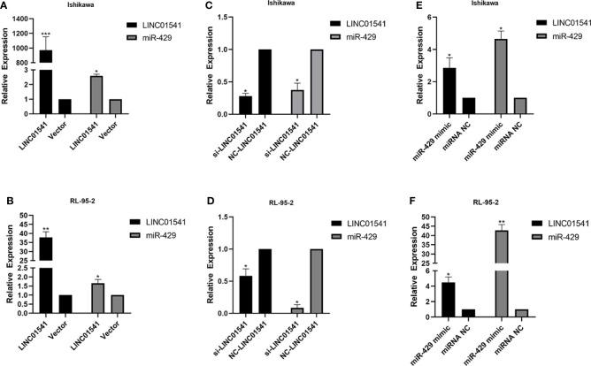 https://cdn.ncbi.nlm.nih.gov/pmc/blobs/17da/9389109/506290006adc/fonc-12-951573-g004.jpg