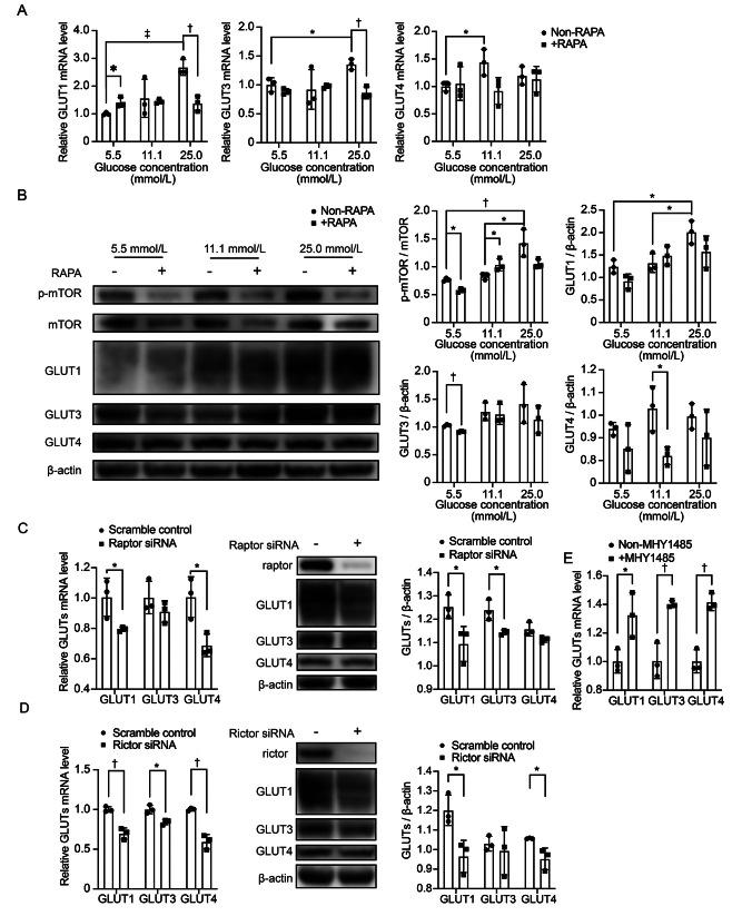 https://cdn.ncbi.nlm.nih.gov/pmc/blobs/17dc/11230790/b93c05d665f5/cm9-137-1563-g002.jpg