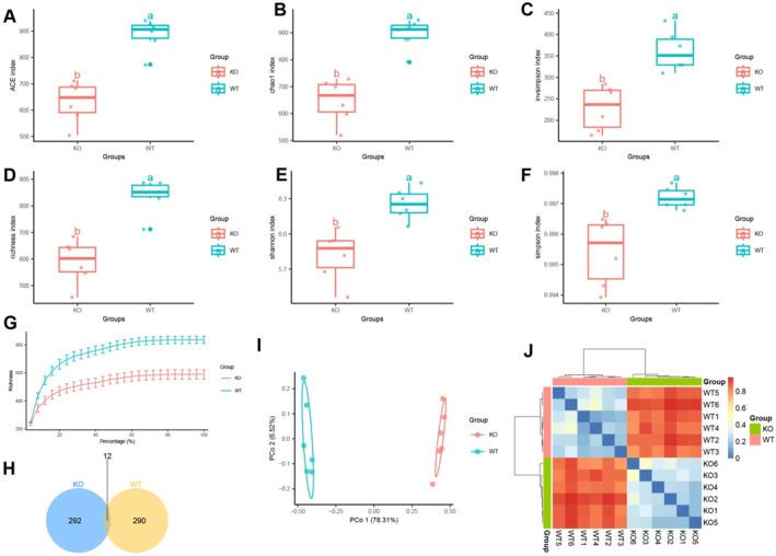https://cdn.ncbi.nlm.nih.gov/pmc/blobs/17de/12143968/64d994c1be9f/CCS3-19-e70021-g003.jpg