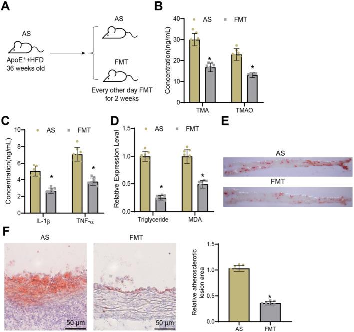 https://cdn.ncbi.nlm.nih.gov/pmc/blobs/17de/12143968/a493456d0125/CCS3-19-e70021-g011.jpg
