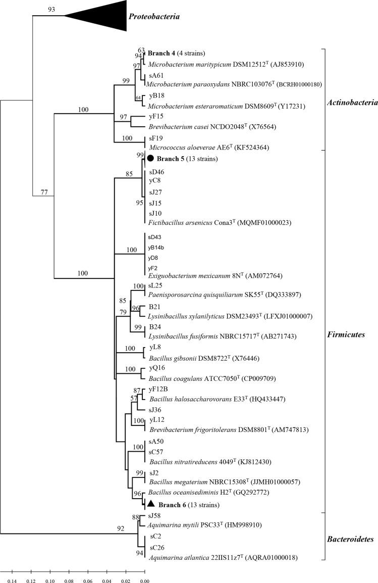 https://cdn.ncbi.nlm.nih.gov/pmc/blobs/17e1/7210813/61ea36756eba/peerj-08-9055-g002.jpg