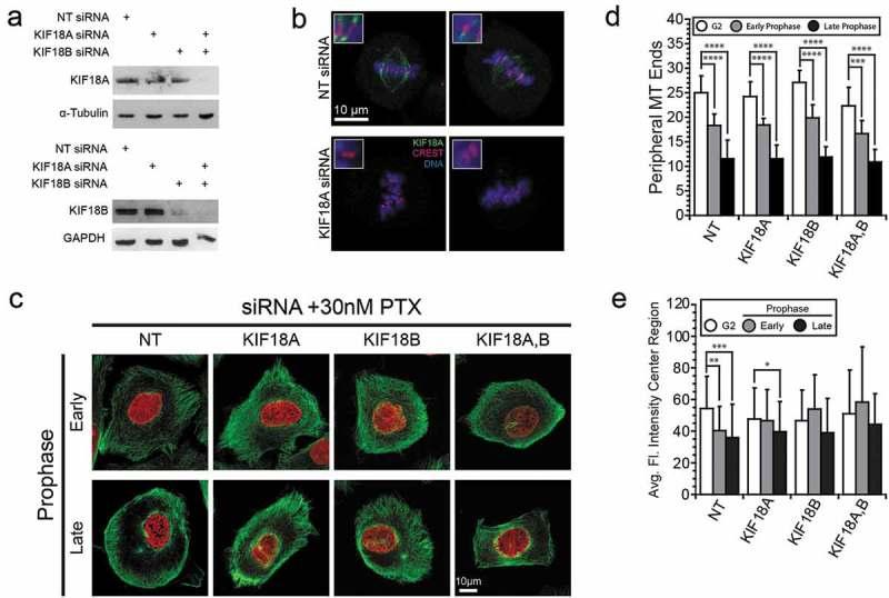https://cdn.ncbi.nlm.nih.gov/pmc/blobs/17e2/6783116/642b21f28246/kcbt-20-10-1638678-g003.jpg