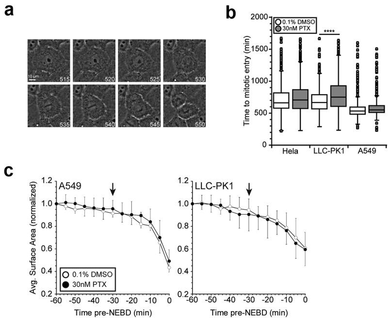 https://cdn.ncbi.nlm.nih.gov/pmc/blobs/17e2/6783116/7007a951d041/kcbt-20-10-1638678-g001.jpg