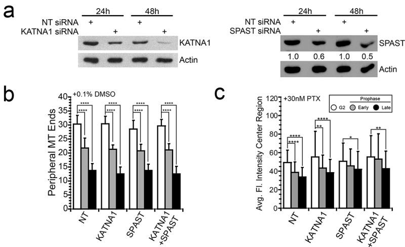 https://cdn.ncbi.nlm.nih.gov/pmc/blobs/17e2/6783116/b42bddbd3767/kcbt-20-10-1638678-g005.jpg
