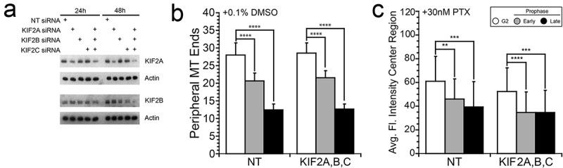 https://cdn.ncbi.nlm.nih.gov/pmc/blobs/17e2/6783116/cd91a08a0e7c/kcbt-20-10-1638678-g004.jpg