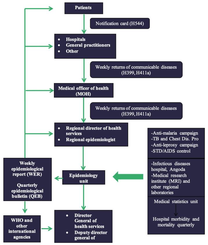 https://cdn.ncbi.nlm.nih.gov/pmc/blobs/17e2/9227132/756ddf26ac66/pathogens-11-00680-g001.jpg