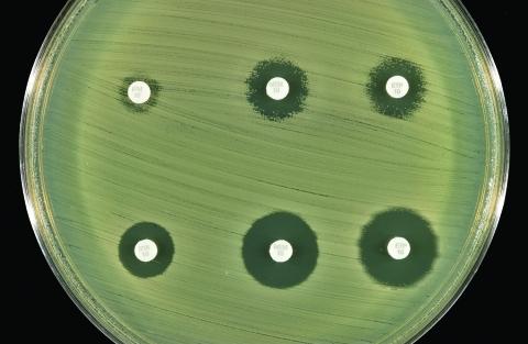 https://cdn.ncbi.nlm.nih.gov/pmc/blobs/17e3/3020613/84e84fef0340/03-0096-F2.jpg