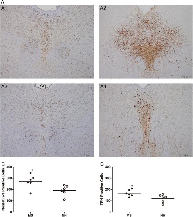 https://cdn.ncbi.nlm.nih.gov/pmc/blobs/17e3/6008476/917210c7c2c2/41598_2018_27592_Fig3_HTML.jpg