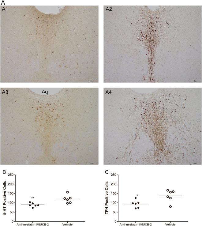 https://cdn.ncbi.nlm.nih.gov/pmc/blobs/17e3/6008476/a6e448c9975c/41598_2018_27592_Fig5_HTML.jpg