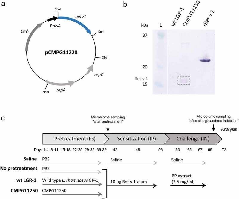 https://cdn.ncbi.nlm.nih.gov/pmc/blobs/17e3/7524350/cac34892bc7f/KGMI_A_1766345_F0001_C.jpg