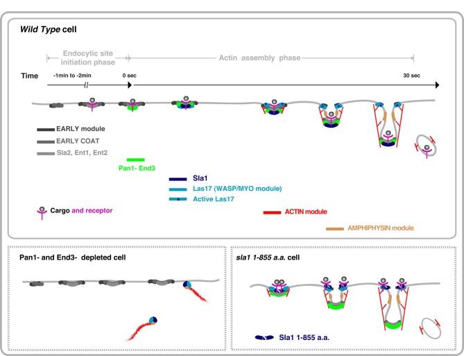 https://cdn.ncbi.nlm.nih.gov/pmc/blobs/17e4/4626068/3049f795930c/3841fig9.jpg