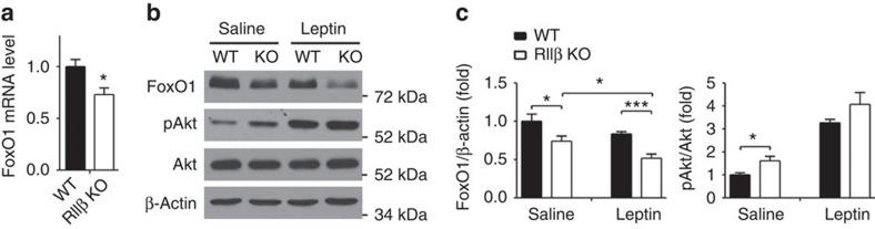 https://cdn.ncbi.nlm.nih.gov/pmc/blobs/17e5/4595595/c6cea580b9a7/ncomms9237-f3.jpg