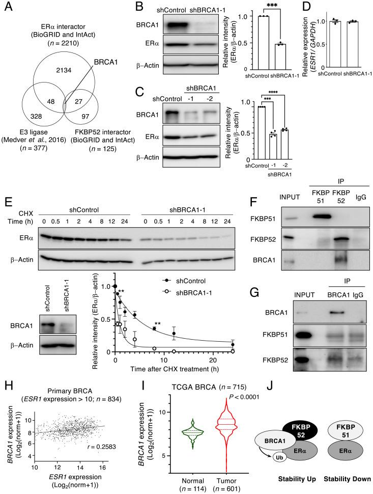 https://cdn.ncbi.nlm.nih.gov/pmc/blobs/17e6/9169630/22180f312844/pnas.2110256119fig08.jpg