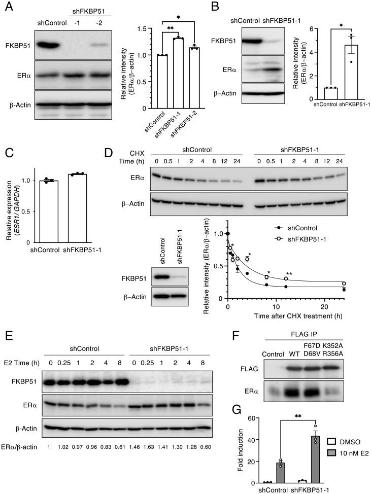 https://cdn.ncbi.nlm.nih.gov/pmc/blobs/17e6/9169630/22bcae8a2feb/pnas.2110256119fig06.jpg