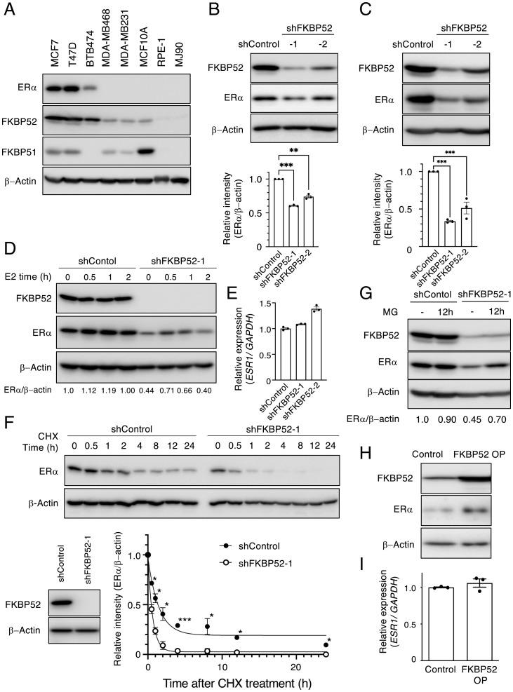 https://cdn.ncbi.nlm.nih.gov/pmc/blobs/17e6/9169630/fc27b7e7c486/pnas.2110256119fig02.jpg