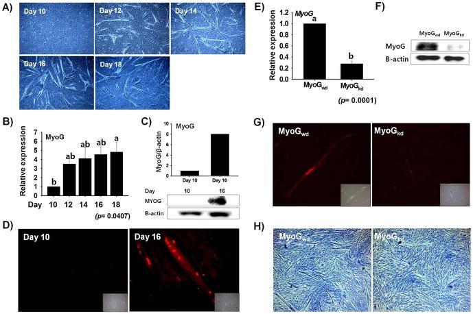 https://cdn.ncbi.nlm.nih.gov/pmc/blobs/17e7/3960249/35cae5496abd/pone.0092447.g001.jpg