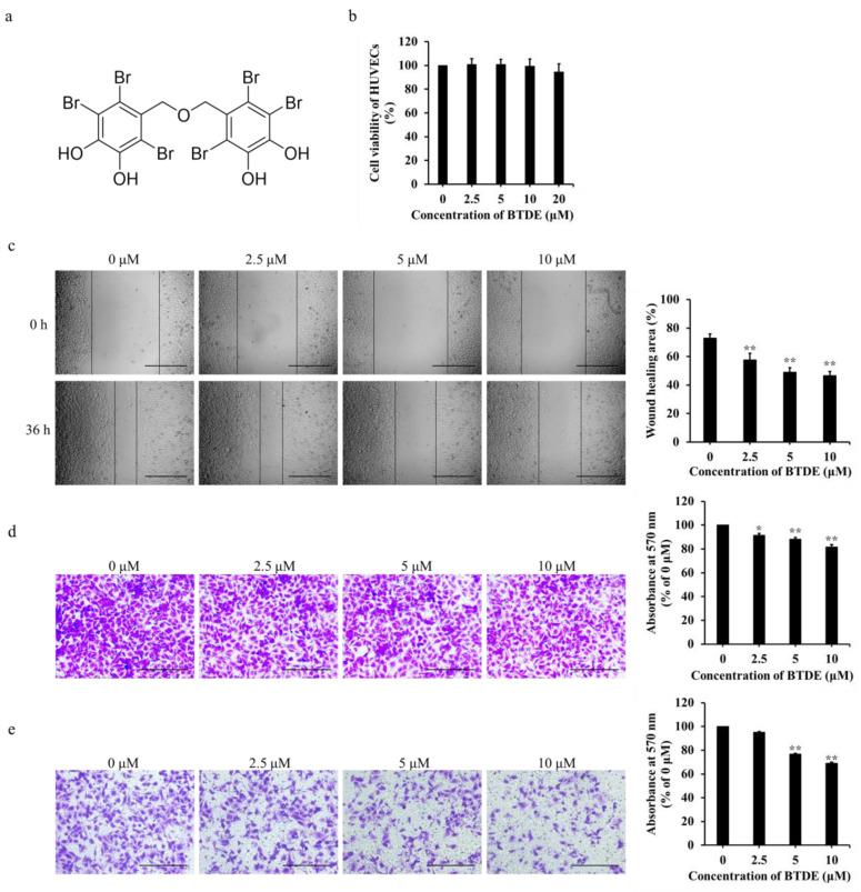 https://cdn.ncbi.nlm.nih.gov/pmc/blobs/17ea/8617710/2776f4ccd90a/marinedrugs-19-00641-g001.jpg