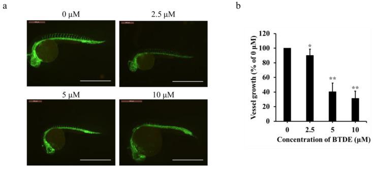 https://cdn.ncbi.nlm.nih.gov/pmc/blobs/17ea/8617710/7ed1f15a1671/marinedrugs-19-00641-g003.jpg