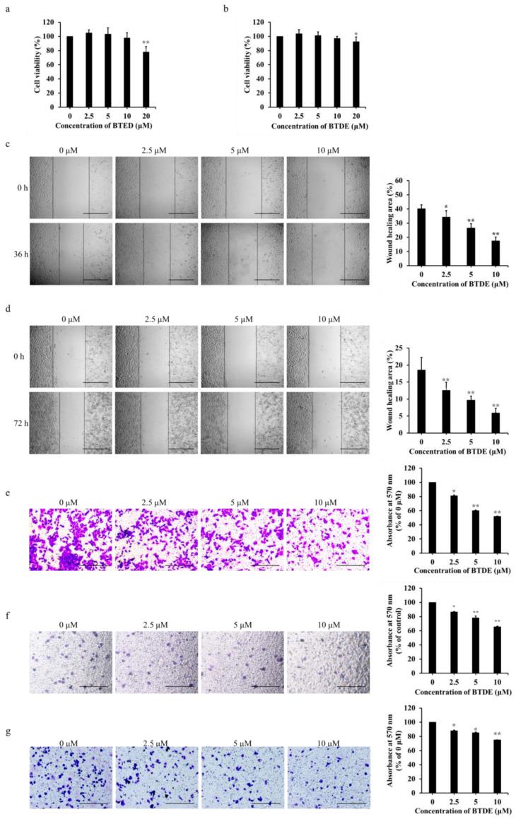 https://cdn.ncbi.nlm.nih.gov/pmc/blobs/17ea/8617710/8619138beaac/marinedrugs-19-00641-g004.jpg