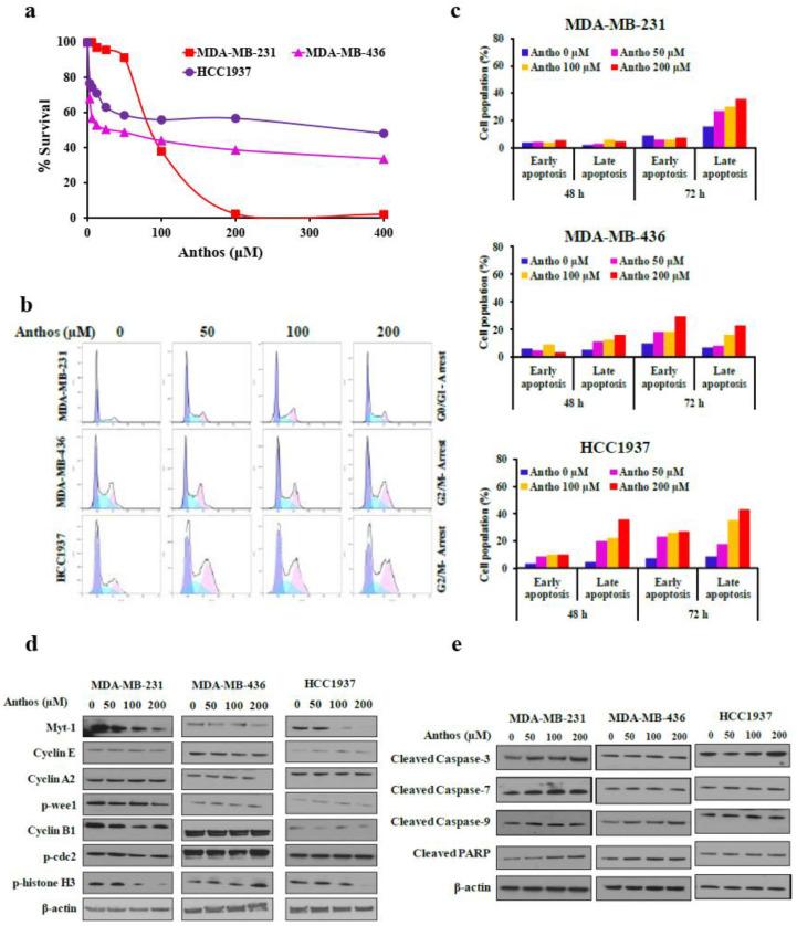 https://cdn.ncbi.nlm.nih.gov/pmc/blobs/17ec/8699375/0284ddbd0ebc/cancers-13-06248-g001.jpg