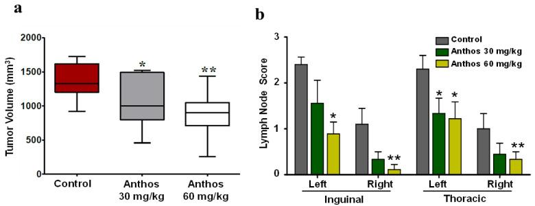 https://cdn.ncbi.nlm.nih.gov/pmc/blobs/17ec/8699375/680cc6882ee9/cancers-13-06248-g004.jpg