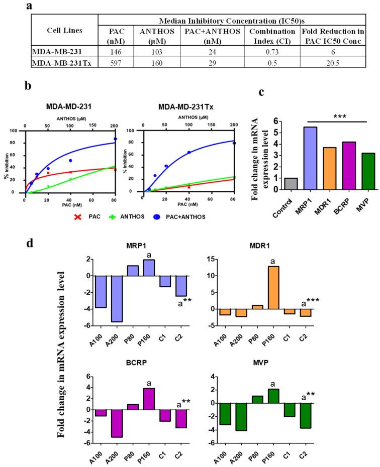 https://cdn.ncbi.nlm.nih.gov/pmc/blobs/17ec/8699375/b3d4d5d2b5ea/cancers-13-06248-g005.jpg