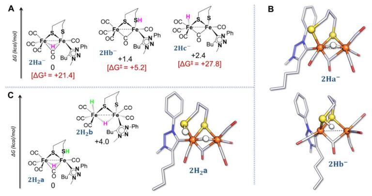 https://cdn.ncbi.nlm.nih.gov/pmc/blobs/17ec/9369626/f0681f03a184/molecules-27-04700-g006.jpg