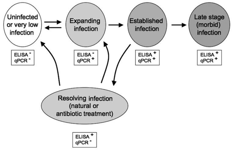 https://cdn.ncbi.nlm.nih.gov/pmc/blobs/17ee/7602803/9765ca6c1958/pathogens-09-00845-g002.jpg