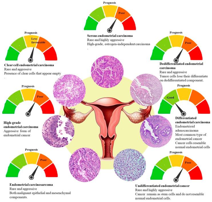 https://cdn.ncbi.nlm.nih.gov/pmc/blobs/17ef/11898822/e5090806df01/cells-14-00382-g002.jpg