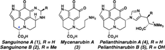https://cdn.ncbi.nlm.nih.gov/pmc/blobs/17ef/12131210/5ce68cf27174/ol5c01332_0001.jpg