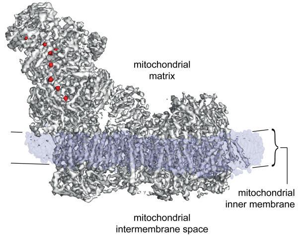 https://cdn.ncbi.nlm.nih.gov/pmc/blobs/17ef/4224586/15188f5cb659/emss-59675-f0006.jpg