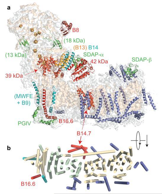 https://cdn.ncbi.nlm.nih.gov/pmc/blobs/17ef/4224586/4a703849acff/emss-59675-f0009.jpg