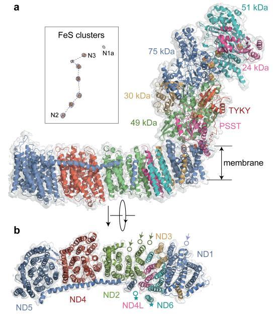 https://cdn.ncbi.nlm.nih.gov/pmc/blobs/17ef/4224586/66c07152273c/emss-59675-f0007.jpg