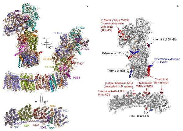 https://cdn.ncbi.nlm.nih.gov/pmc/blobs/17ef/4224586/c704f79be840/emss-59675-f0005.jpg