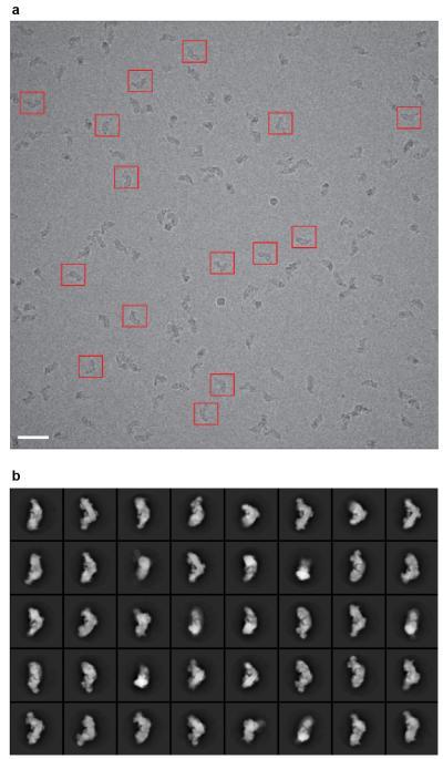 https://cdn.ncbi.nlm.nih.gov/pmc/blobs/17ef/4224586/d3a67bf1163c/emss-59675-f0001.jpg