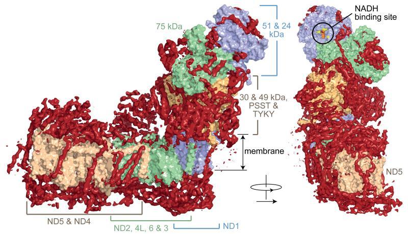 https://cdn.ncbi.nlm.nih.gov/pmc/blobs/17ef/4224586/f1dfae958141/emss-59675-f0008.jpg