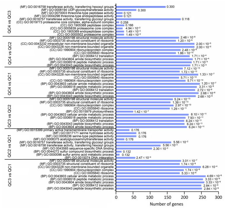 https://cdn.ncbi.nlm.nih.gov/pmc/blobs/17f0/8950972/8d96b2ff21ce/ijms-23-03367-g005.jpg