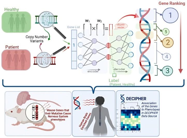 https://cdn.ncbi.nlm.nih.gov/pmc/blobs/17f1/10399873/2f4658ca26a2/pcbi.1011249.g001.jpg