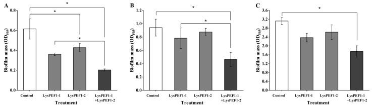 https://cdn.ncbi.nlm.nih.gov/pmc/blobs/17f6/11428236/40156db58fae/antibiotics-13-00884-g006.jpg