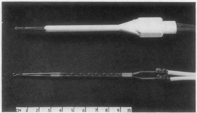 https://cdn.ncbi.nlm.nih.gov/pmc/blobs/17f6/473748/94aa2dc0abb2/jclinpath00373-0108-a.jpg