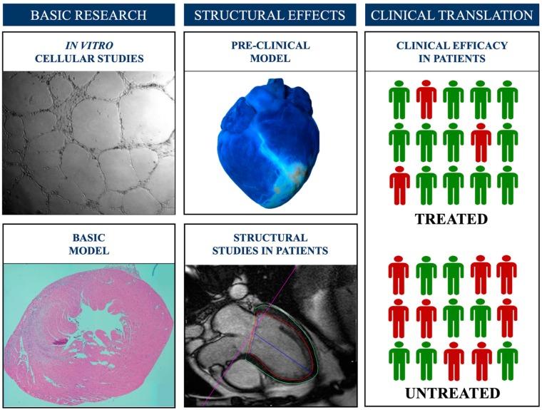 https://cdn.ncbi.nlm.nih.gov/pmc/blobs/17f6/6912395/367348d0a0bb/jcm-08-01805-g005.jpg