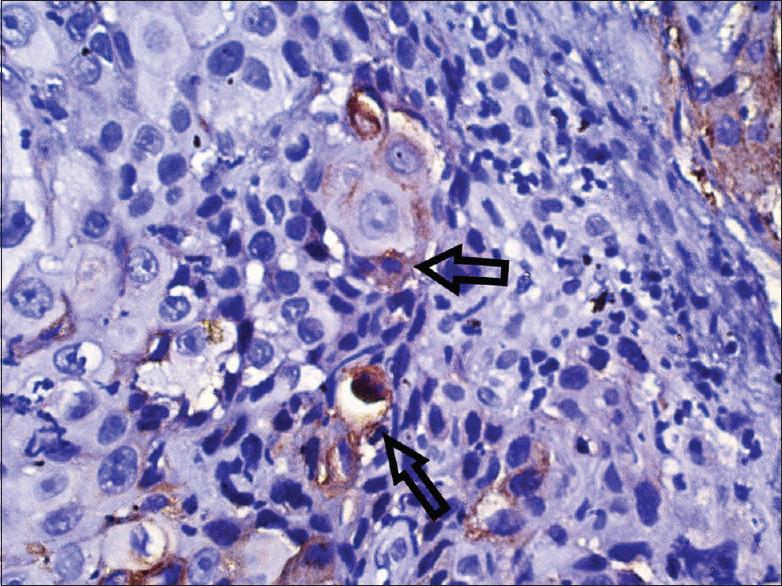 https://cdn.ncbi.nlm.nih.gov/pmc/blobs/17f6/7904020/2986b34946da/JISP-25-61-g004.jpg