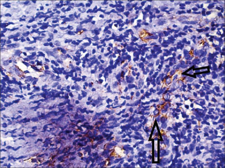 https://cdn.ncbi.nlm.nih.gov/pmc/blobs/17f6/7904020/bf6bc68ad0e8/JISP-25-61-g005.jpg