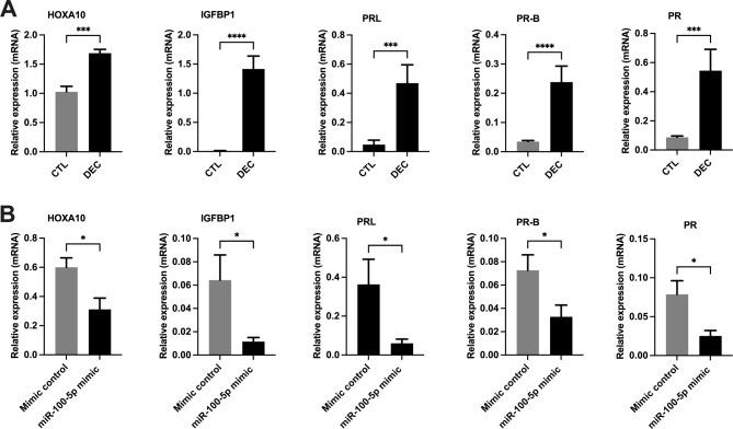 https://cdn.ncbi.nlm.nih.gov/pmc/blobs/17f8/11064399/29782a754231/13287_2024_3716_Fig6_HTML.jpg