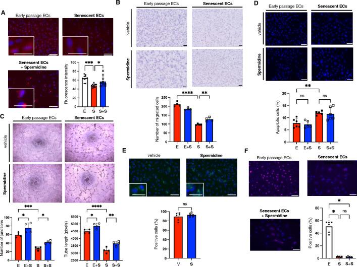 https://cdn.ncbi.nlm.nih.gov/pmc/blobs/17f9/10205711/038e6a287100/41598_2023_35447_Fig1_HTML.jpg