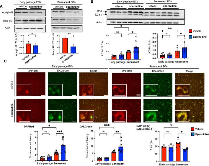 https://cdn.ncbi.nlm.nih.gov/pmc/blobs/17f9/10205711/c7f27129d056/41598_2023_35447_Fig2_HTML.jpg